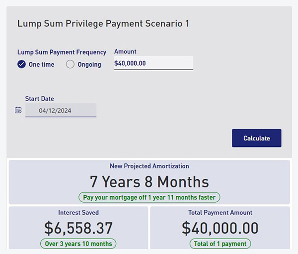 Ida and Alan’s Lump Sum Payment  Comparison #1