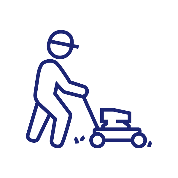 Spruce up your lawn